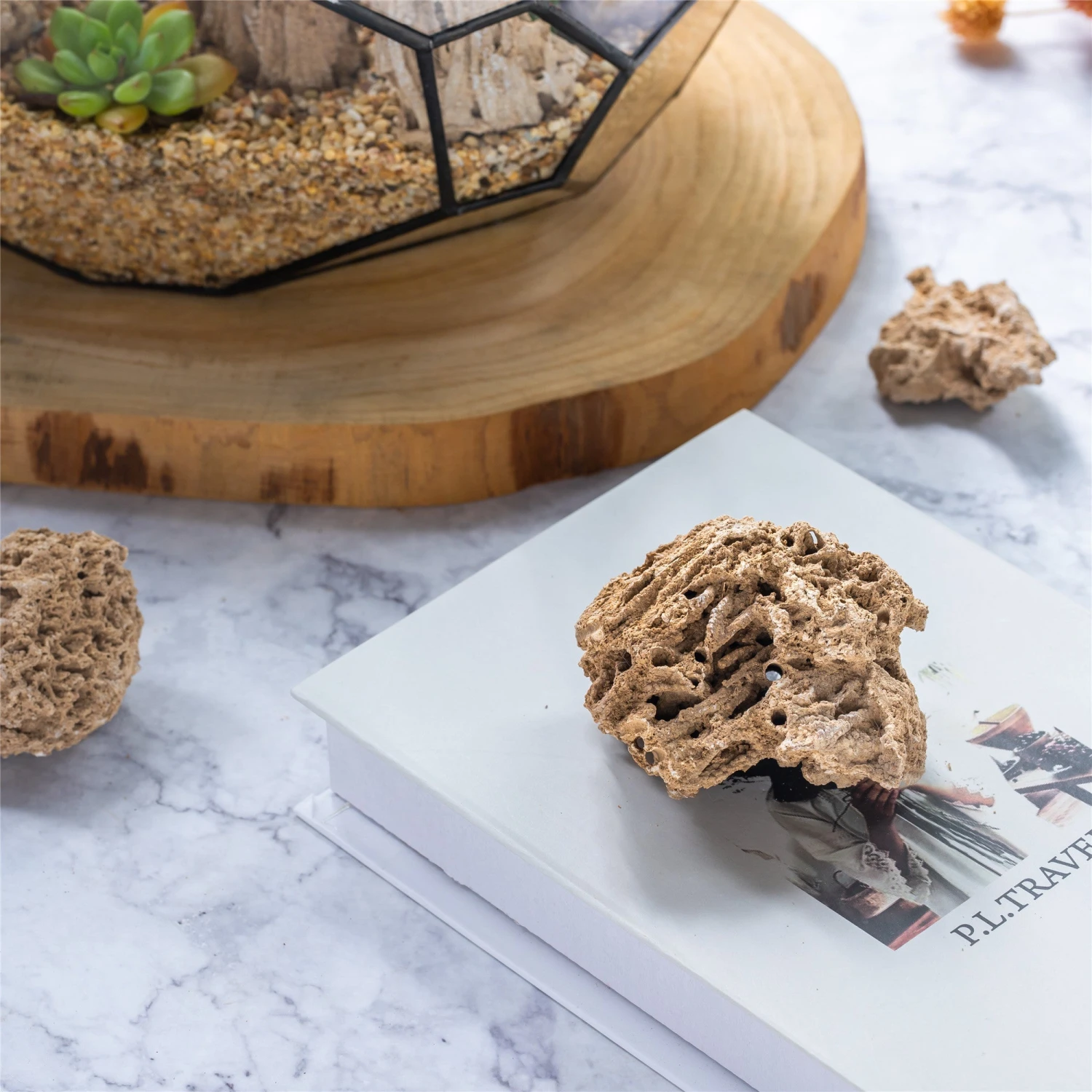 Natural Reed Tube Limestone Absorption For Landscaping Rockery Aquarium Bonsai Terrarium Succulents 5 Natural Reed Tube Limestone Absorption For Landscaping Rockery Aquarium Bonsai Terrarium Succulents - Image 5