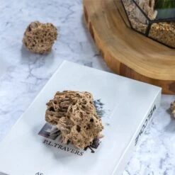 Natural Reed Tube Limestone Absorption For Landscaping Rockery Aquarium Bonsai Terrarium Succulents 12 Natural Reed Tube Limestone Absorption For Landscaping Rockery Aquarium Bonsai Terrarium Succulents -Ncyp Garden Sale Shop c180731569 3