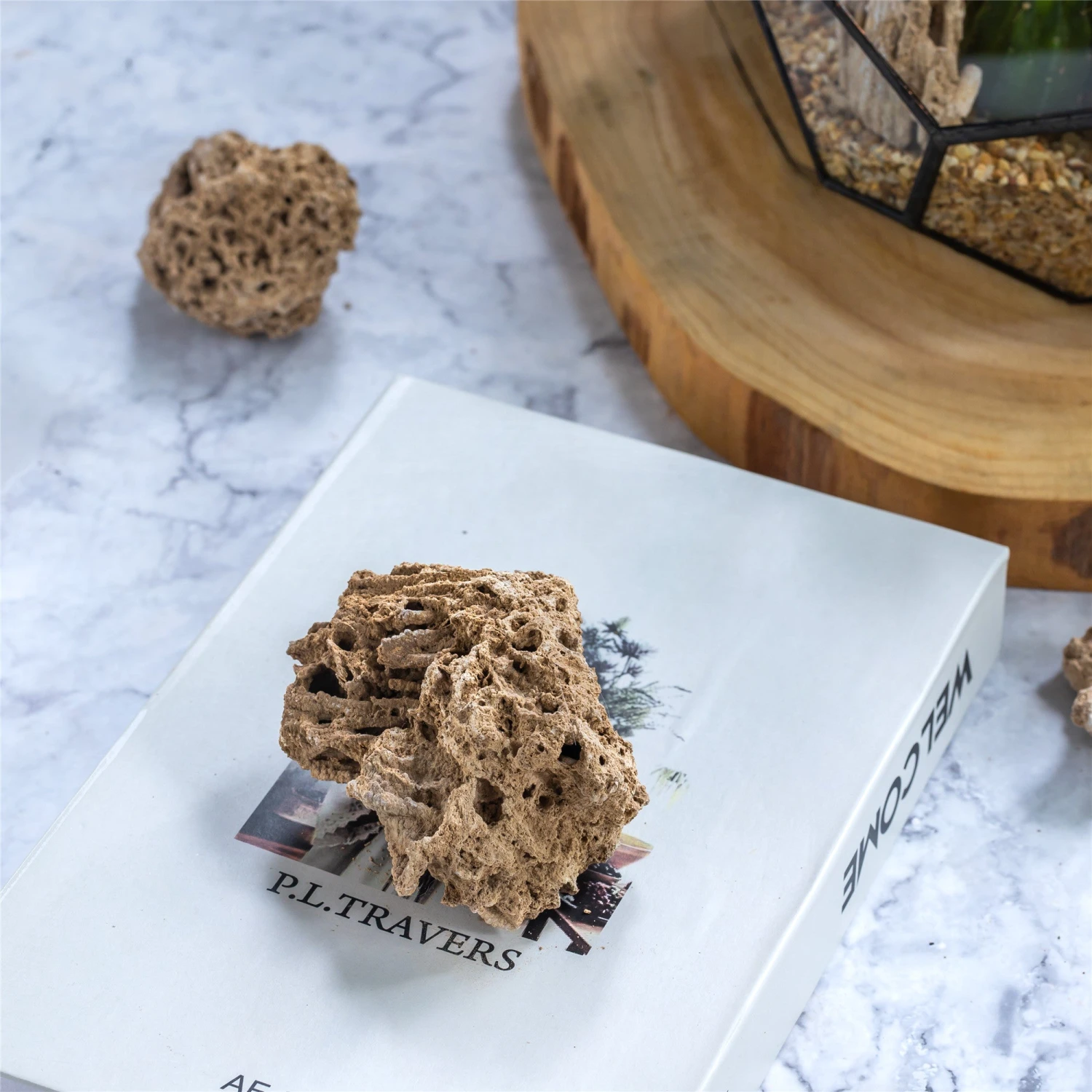 Natural Reed Tube Limestone Absorption For Landscaping Rockery Aquarium Bonsai Terrarium Succulents 6 Natural Reed Tube Limestone Absorption For Landscaping Rockery Aquarium Bonsai Terrarium Succulents - Image 6