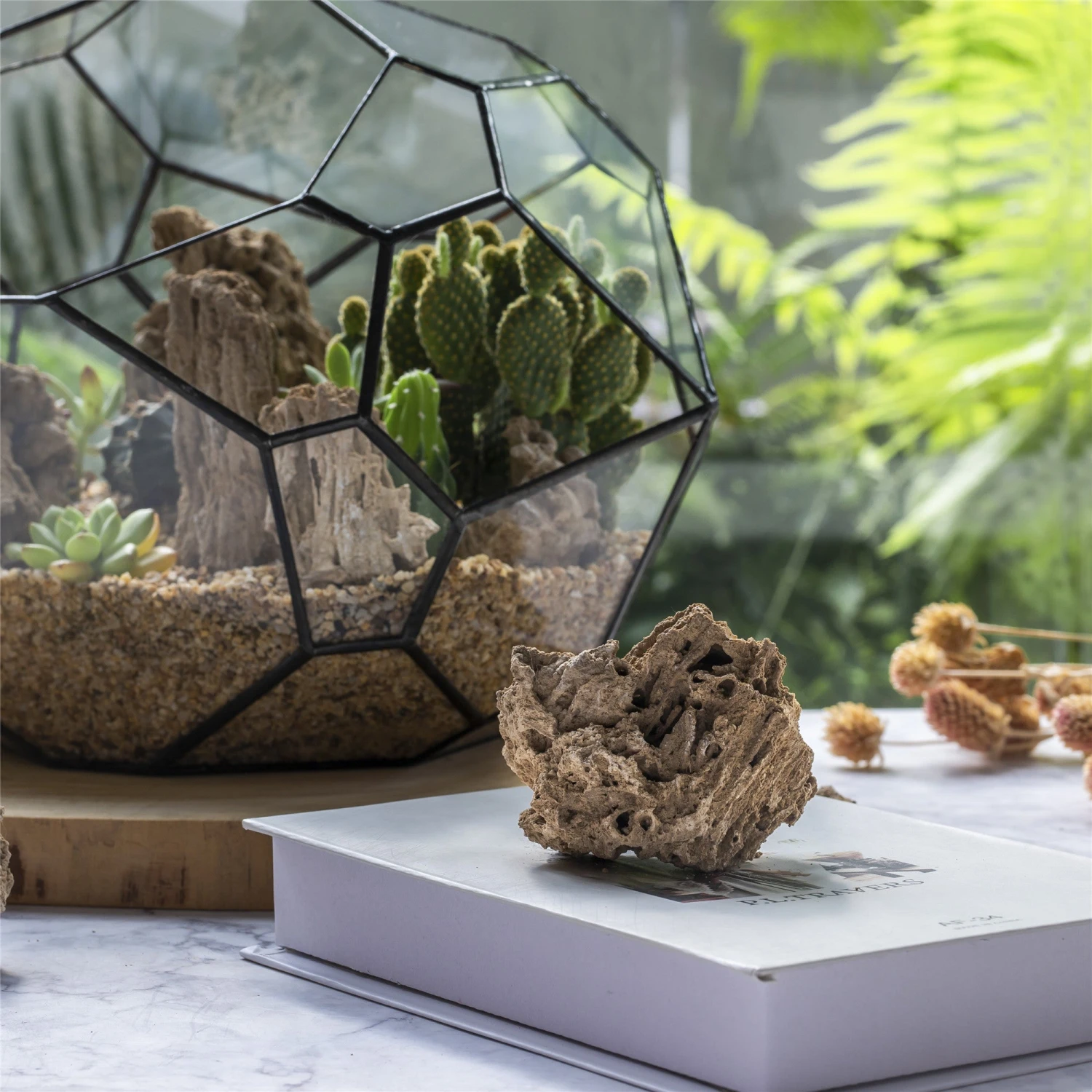 Natural Reed Tube Limestone Absorption For Landscaping Rockery Aquarium Bonsai Terrarium Succulents 1 Natural Reed Tube Limestone Absorption For Landscaping Rockery Aquarium Bonsai Terrarium Succulents