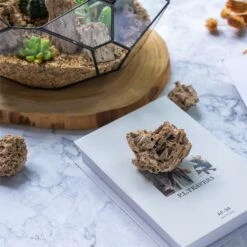 Natural Reed Tube Limestone Absorption For Landscaping Rockery Aquarium Bonsai Terrarium Succulents 13 Natural Reed Tube Limestone Absorption For Landscaping Rockery Aquarium Bonsai Terrarium Succulents -Ncyp Garden Sale Shop c180731569 7