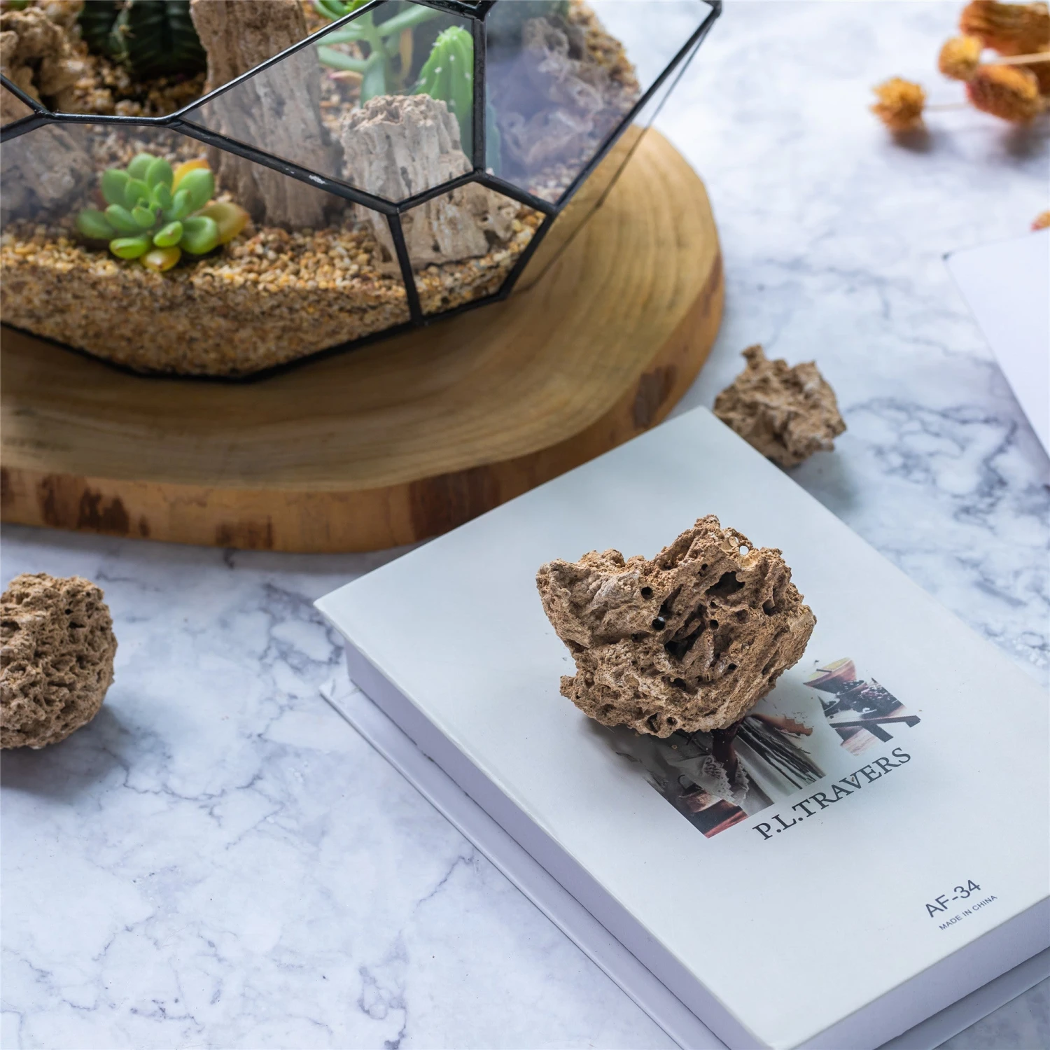 Natural Reed Tube Limestone Absorption For Landscaping Rockery Aquarium Bonsai Terrarium Succulents 7 Natural Reed Tube Limestone Absorption For Landscaping Rockery Aquarium Bonsai Terrarium Succulents - Image 7