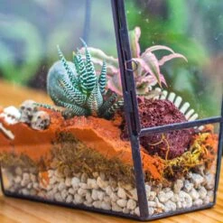 Grey White Horticultural Lava Rock Volcanic Rock -Ncyp Garden Sale Shop c4f825209af3e0a5b18ce2b0da4d1015