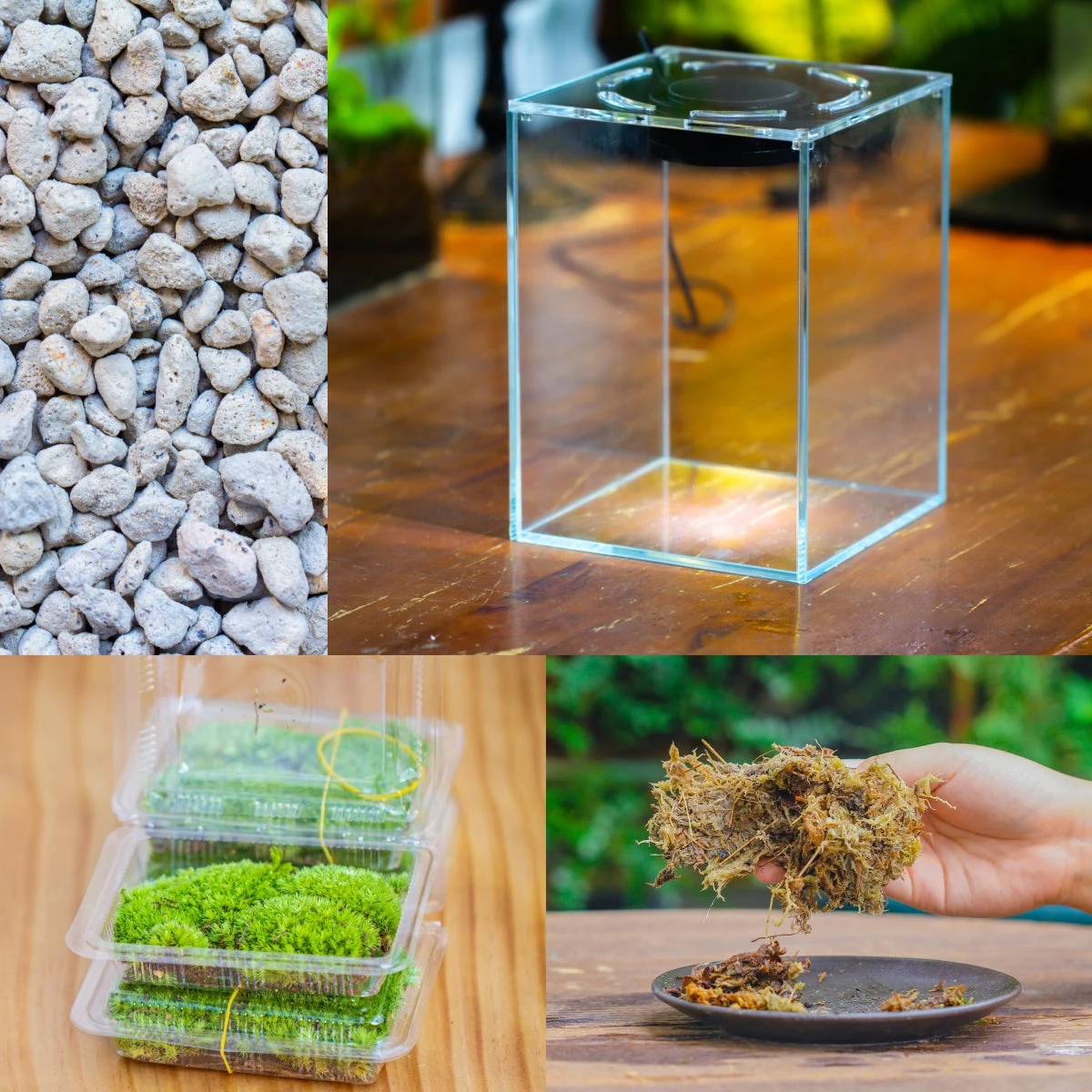 Watertight Glass Tank With LED Grow Light, Acrylic Lid, DIY Terrarium Kit-15x15x18cm / 5.9x5.9x7.1'' 1 Watertight Glass Tank With LED Grow Light, Acrylic Lid, DIY Terrarium Kit-15x15x18cm / 5.9x5.9x7.1''