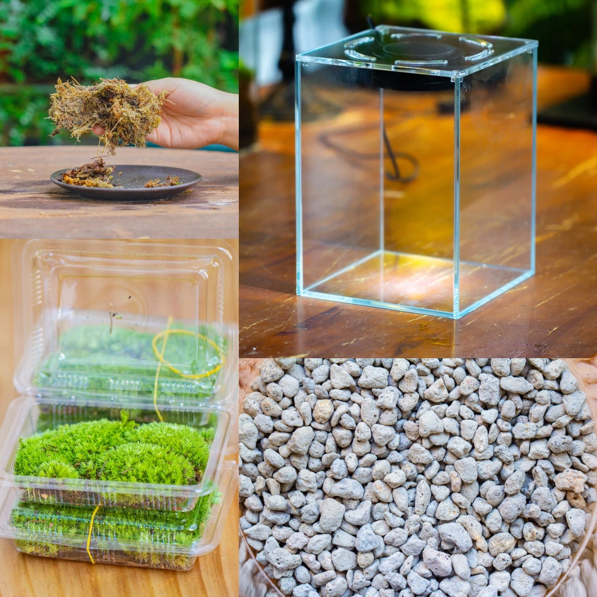 Glass Tank With Lid Grow Light DIY Set For Moss And Flytrap, Sundew 1 Glass Tank With Lid Grow Light DIY Set For Moss And Flytrap, Sundew