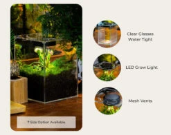 Watertight Glass Terrarium With LED Grow Light, Acrylic Lid For Carnivorous Plants-25x25x30cm / 9.8x9.8x11.8'' -Ncyp Garden Sale Shop il 794xN.6202648474 6ta6
