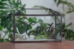 Back Standard/Large Geometric Glass Card Box Terrarium With Slot, Heart Lock, Foot, Handmade Brass For Wedding Receiption Wishwell Keepsake -Ncyp Garden Sale Shop il fullxfull.3802316189 gm8v