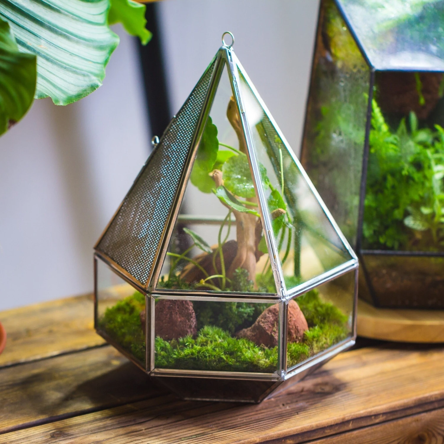 NCYP Hanging Six-surface Diamond Glass Geometric Terrarium, Stainless Steel, Silver, With Mesh For Insect Pet 3 NCYP Hanging Six-surface Diamond Glass Geometric Terrarium, Stainless Steel, Silver, With Mesh For Insect Pet - Image 3