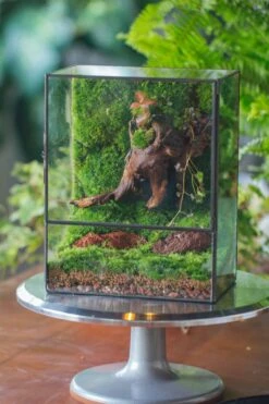 NCYP Close Geometric Glass Terrarium With Door, Tin Sealed Rectangle Tall Moss Wall Planter For Moss Wall, Fern, Landscape -Ncyp Garden Sale Shop il fullxfull.3837941028 m2vs