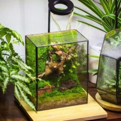NCYP Close Geometric Glass Terrarium With Door, Tin Sealed Rectangle Tall Moss Wall Planter For Moss Wall, Fern, Landscape -Ncyp Garden Sale Shop il fullxfull.3837944066 mxo1