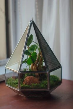 NCYP Hanging Six-surface Diamond Glass Geometric Terrarium, Stainless Steel, Silver, With Mesh For Insect Pet 19 NCYP Hanging Six-surface Diamond Glass Geometric Terrarium, Stainless Steel, Silver, With Mesh For Insect Pet -Ncyp Garden Sale Shop il fullxfull.3855815865 k2ly