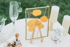 Hanging Rectangle Multiple Size Herbarium Brass Double Glass Frame For Pressed Flowers, Dried Flowers, Poster, Floating Frame -Ncyp Garden Sale Shop il fullxfull.3907604770 bwip