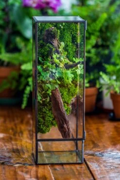 NCYP Close 11.8" Tall Geometric Glass Terrarium With Door, Tin Sealed Pillar, Planter For Moss Wall, Fern, Pitcher Plants, Tropical Plants -Ncyp Garden Sale Shop il fullxfull.4429467918 5j5k