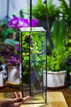 NCYP Close 11.8" Tall Geometric Glass Terrarium With Door, Tin Sealed Pillar, Planter For Moss Wall, Fern, Pitcher Plants, Tropical Plants -Ncyp Garden Sale Shop il fullxfull.4429467990 p2vl