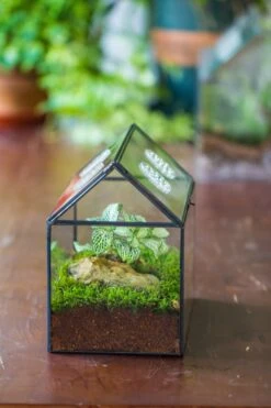 NCYP Handmade Geometric Glass Close Terrarium Box House Shape, Swing Lid Latch For Air Plants Moss Snail Reptile Habitat Vivarium -Ncyp Garden Sale Shop il fullxfull.4550490405 p048