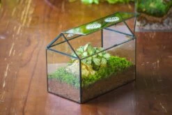 NCYP Handmade Geometric Glass Close Terrarium Box House Shape, Swing Lid Latch For Air Plants Moss Snail Reptile Habitat Vivarium -Ncyp Garden Sale Shop il fullxfull.4550492477 2pc7