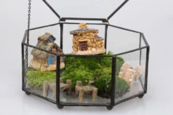 Handmade Flat Octagon Glass Geometric Terrarium For Succulents Fern Moss -Ncyp Garden Sale Shop product image 293922302