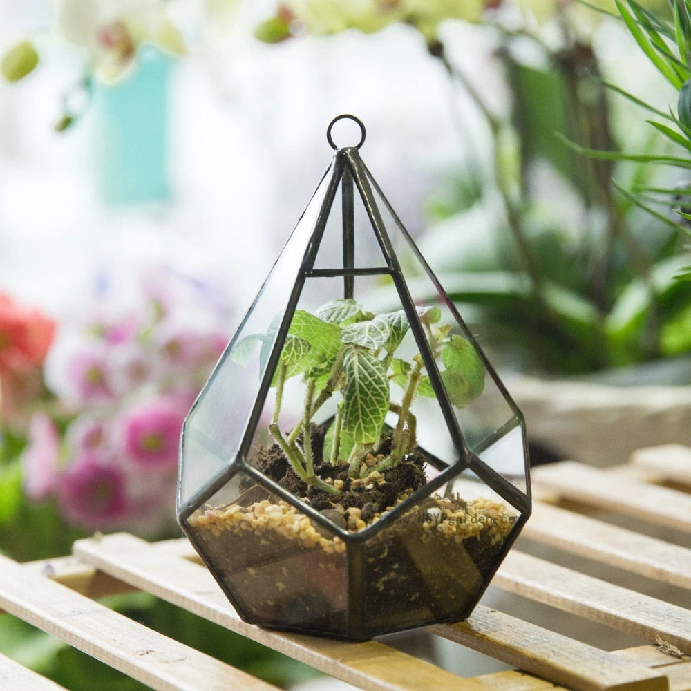 Handmade Artistic Hanging Glass Teardrop Diamond Geometric Terrarium With Loop For Succulent Moss 6 Handmade Artistic Hanging Glass Teardrop Diamond Geometric Terrarium With Loop For Succulent Moss - Image 6
