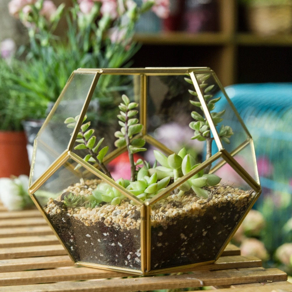 Handmade Tabletop Polyhedron Glass Geometric Terrarium For Succulent Fern Moss Air Plant 2 Handmade Tabletop Polyhedron Glass Geometric Terrarium For Succulent Fern Moss Air Plant - Image 2