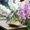 Handmade 3.93" / 10cm Silver Square Inclined Open Cube Glass Geometric Terrarium Box For Succulents