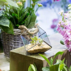 Handmade 3.93" / 10cm Silver Square Inclined Open Cube Glass Geometric Terrarium Box For Succulents -Ncyp Garden Sale Shop product image 330636318