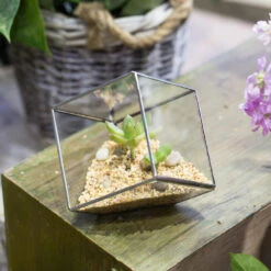 Handmade 3.93" / 10cm Silver Square Inclined Open Cube Glass Geometric Terrarium Box For Succulents -Ncyp Garden Sale Shop product image 330636319