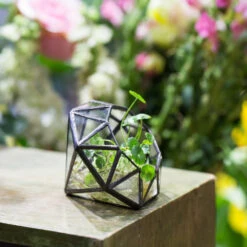 Handmade Mini Eight-surfaces Diamond Glass Geometric Terrarium ForFern Moss Ring Box 17 Handmade Mini Eight-surfaces Diamond Glass Geometric Terrarium ForFern Moss Ring Box -Ncyp Garden Sale Shop product image 379729141