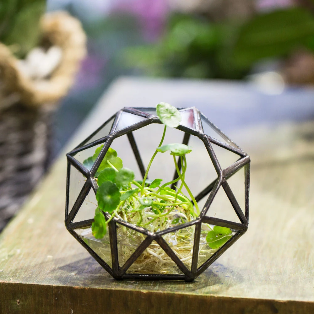 Handmade Mini Eight-surfaces Diamond Glass Geometric Terrarium ForFern Moss Ring Box 11 Handmade Mini Eight-surfaces Diamond Glass Geometric Terrarium ForFern Moss Ring Box - Image 11