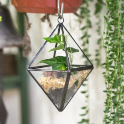 Handmade Small Hanging Geometric Glass Terrarium For Succulent Air Plant -Ncyp Garden Sale Shop product image 380708235