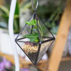 Handmade Small Hanging Geometric Glass Terrarium For Succulent Air Plant -Ncyp Garden Sale Shop product image 380708239