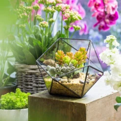 Handmade Bowl Shape Geometric Glass Terrarium Pot For Plants Succulent Moss Miniature Airplants -Ncyp Garden Sale Shop product image 381129916