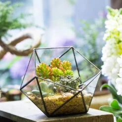 Handmade Bowl Shape Geometric Glass Terrarium Pot For Plants Succulent Moss Miniature Airplants -Ncyp Garden Sale Shop product image 381129963