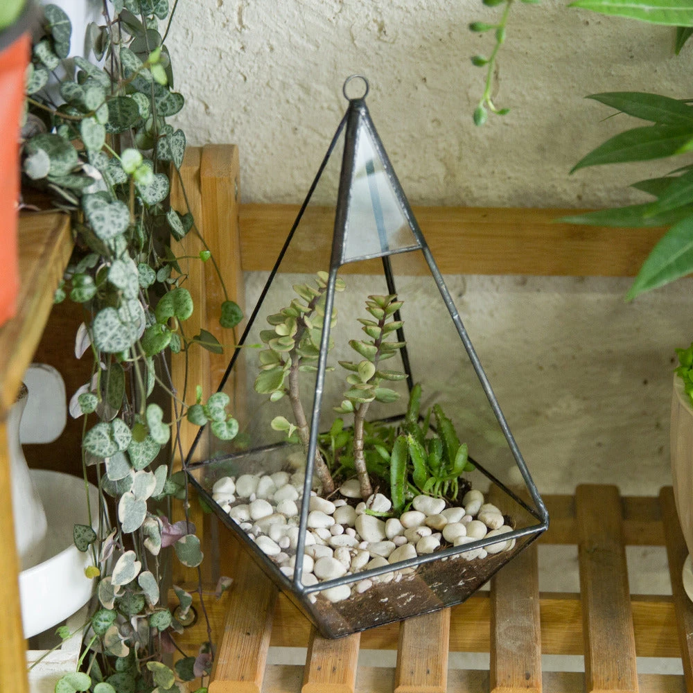 Handmade Glass Geometric Terrarium Indoor Outdoor Planter Landscape Wall Pyramid For Succulents 3 Handmade Glass Geometric Terrarium Indoor Outdoor Planter Landscape Wall Pyramid For Succulents - Image 3