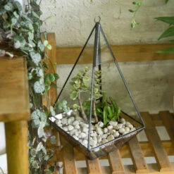 Handmade Glass Geometric Terrarium Indoor Outdoor Planter Landscape Wall Pyramid For Succulents 23 Handmade Glass Geometric Terrarium Indoor Outdoor Planter Landscape Wall Pyramid For Succulents -Ncyp Garden Sale Shop product image 383777895