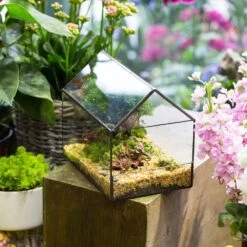 Handmade House Shape Open On The Side Glass Geometric Terrarium For Fern Moss Succulents Airplants -Ncyp Garden Sale Shop product image 384965319
