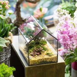 Handmade House Shape Open On The Side Glass Geometric Terrarium For Fern Moss Succulents Airplants -Ncyp Garden Sale Shop product image 384965321