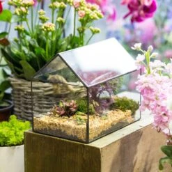 Handmade House Shape Open On The Side Glass Geometric Terrarium For Fern Moss Succulents Airplants -Ncyp Garden Sale Shop product image 384965323