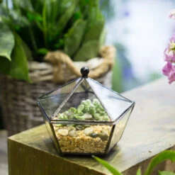 Handmade Small Modern Clear Jewelry BoxGlass Geometric Terrarium For Wedding Planters Succulents 21 Handmade Small Modern Clear Jewelry BoxGlass Geometric Terrarium For Wedding Planters Succulents -Ncyp Garden Sale Shop product image 385370586