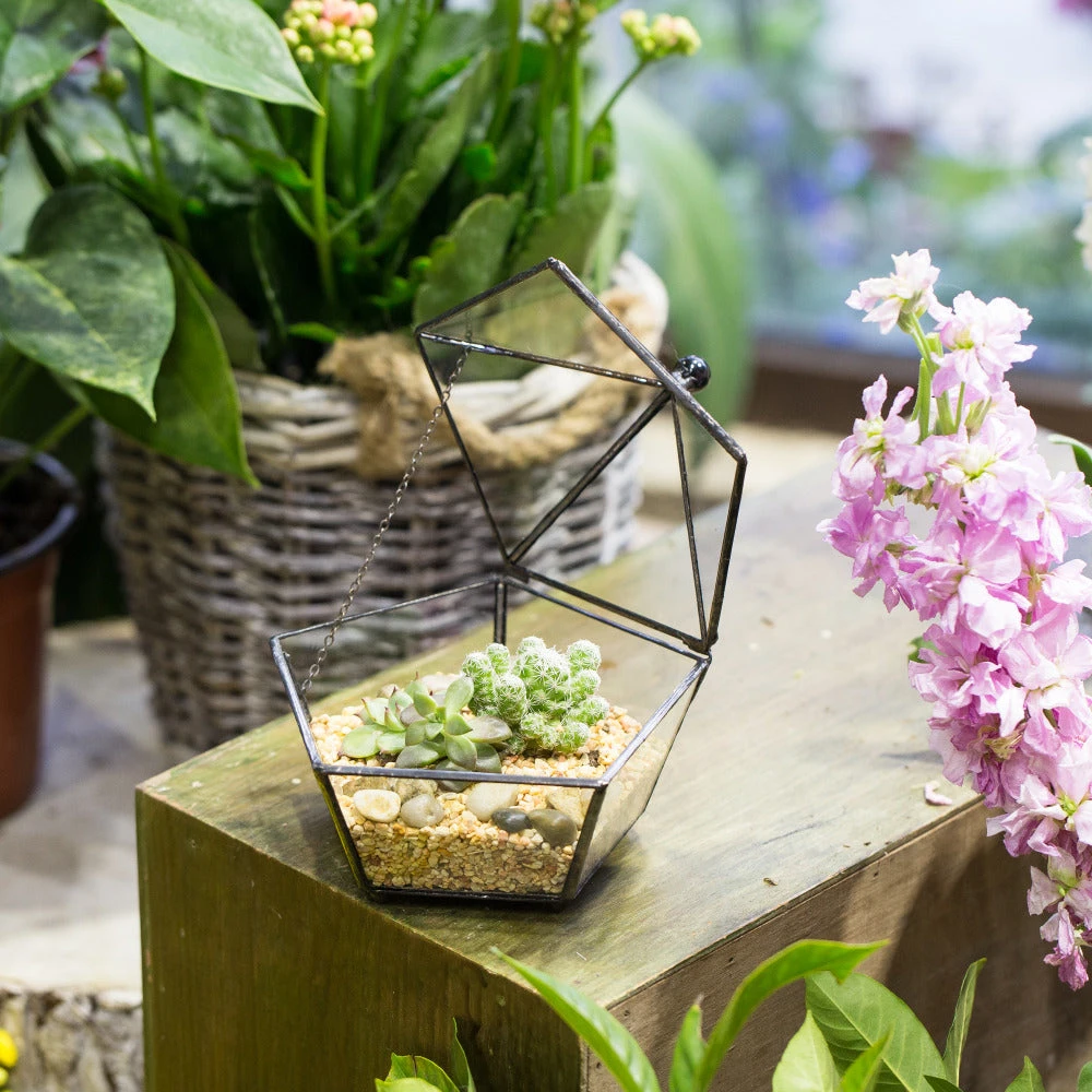 Handmade Small Modern Clear Jewelry BoxGlass Geometric Terrarium For Wedding Planters Succulents 8 Handmade Small Modern Clear Jewelry BoxGlass Geometric Terrarium For Wedding Planters Succulents - Image 8