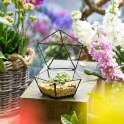 Handmade Small Modern Clear Jewelry BoxGlass Geometric Terrarium For Wedding Planters Succulents 22 Handmade Small Modern Clear Jewelry BoxGlass Geometric Terrarium For Wedding Planters Succulents -Ncyp Garden Sale Shop product image 385370592