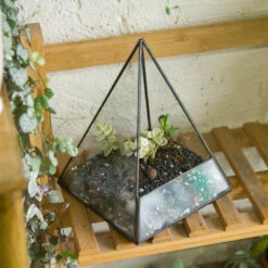 Handmade Pyramid Geometric Glass Terrarium For Succulent Fern Moss Airplants Cacti -Ncyp Garden Sale Shop product image 385399701