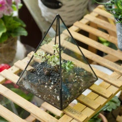 Handmade Pyramid Geometric Glass Terrarium For Succulent Fern Moss Airplants Cacti -Ncyp Garden Sale Shop product image 385399702