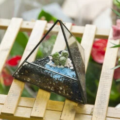Handmade Pyramid Geometric Glass Terrarium For Succulent Fern Moss Airplants Cacti -Ncyp Garden Sale Shop product image 385399705