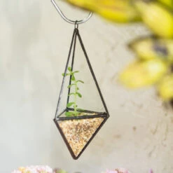 Handmade Hanging Mini Triangular Glass Geometric Terrarium For Fern Moss Succulent Airplants 27 Handmade Hanging Mini Triangular Glass Geometric Terrarium For Fern Moss Succulent Airplants -Ncyp Garden Sale Shop product image 386603741