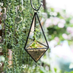 Handmade Hanging Mini Triangular Glass Geometric Terrarium For Fern Moss Succulent Airplants 26 Handmade Hanging Mini Triangular Glass Geometric Terrarium For Fern Moss Succulent Airplants -Ncyp Garden Sale Shop product image 386603749