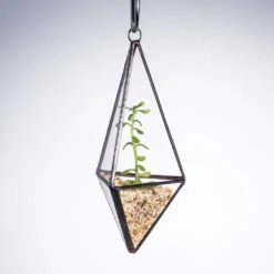 Handmade Hanging Mini Triangular Glass Geometric Terrarium For Fern Moss Succulent Airplants 19 Handmade Hanging Mini Triangular Glass Geometric Terrarium For Fern Moss Succulent Airplants -Ncyp Garden Sale Shop product image 386603753