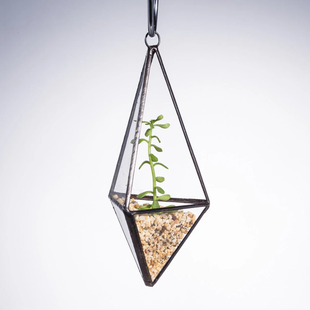 Handmade Hanging Mini Triangular Glass Geometric Terrarium For Fern Moss Succulent Airplants 6 Handmade Hanging Mini Triangular Glass Geometric Terrarium For Fern Moss Succulent Airplants - Image 6