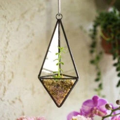 Handmade Hanging Mini Triangular Glass Geometric Terrarium For Fern Moss Succulent Airplants 18 Handmade Hanging Mini Triangular Glass Geometric Terrarium For Fern Moss Succulent Airplants -Ncyp Garden Sale Shop product image 386603762