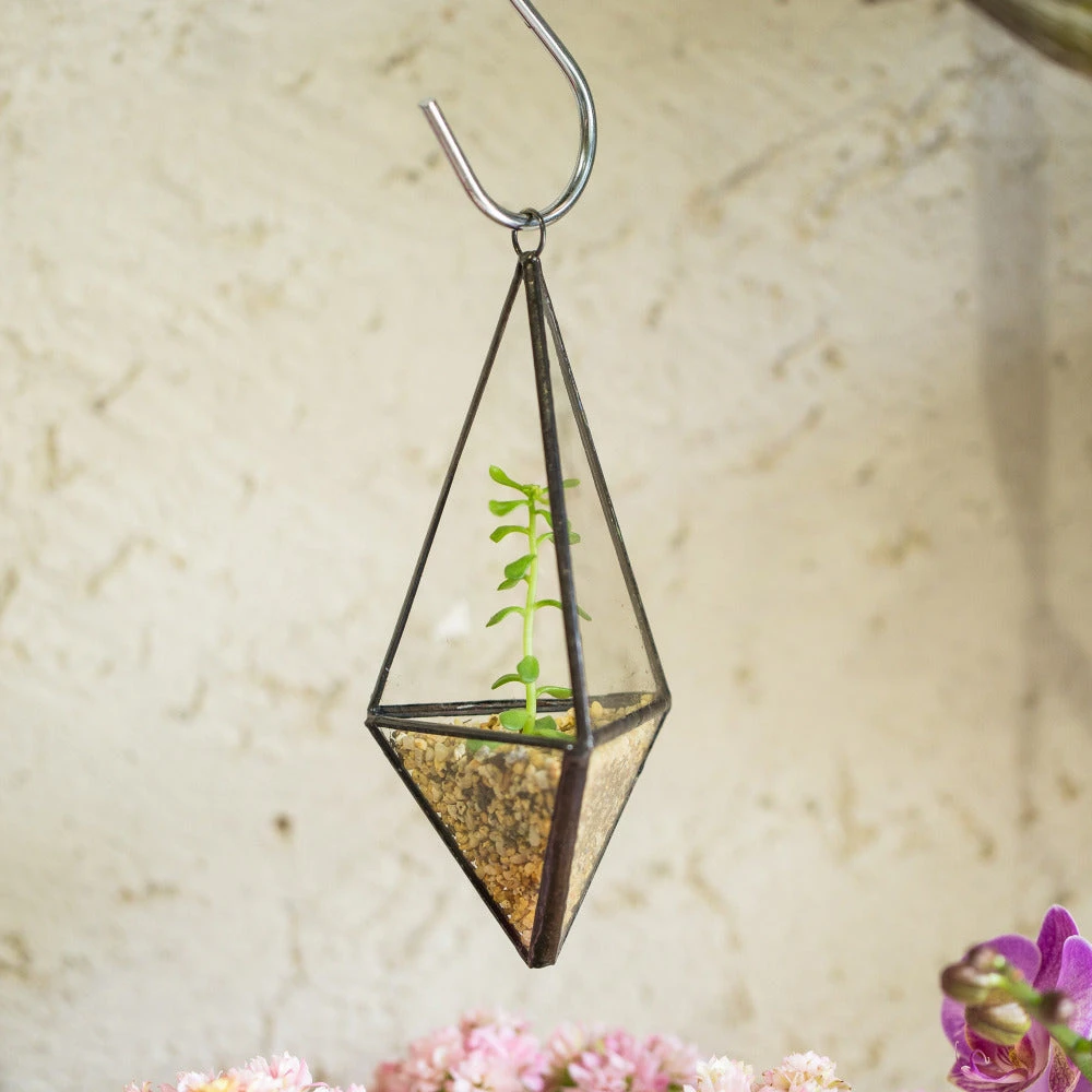 Handmade Hanging Mini Triangular Glass Geometric Terrarium For Fern Moss Succulent Airplants 8 Handmade Hanging Mini Triangular Glass Geometric Terrarium For Fern Moss Succulent Airplants - Image 8