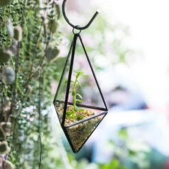 Handmade Hanging Mini Triangular Glass Geometric Terrarium For Fern Moss Succulent Airplants 22 Handmade Hanging Mini Triangular Glass Geometric Terrarium For Fern Moss Succulent Airplants -Ncyp Garden Sale Shop product image 386603770